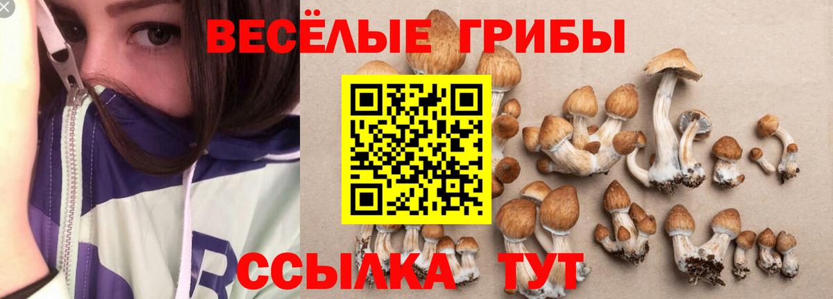 Псилоцибиновые грибы мухоморы Хасавюрт