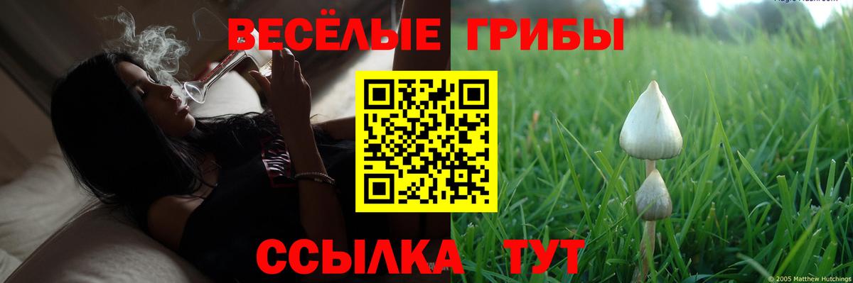 Хасавюрт  Псилоцибиновые грибы прущие грибы  Псилоцибиновые грибы прущие грибы  закладка  Вход с VPN 